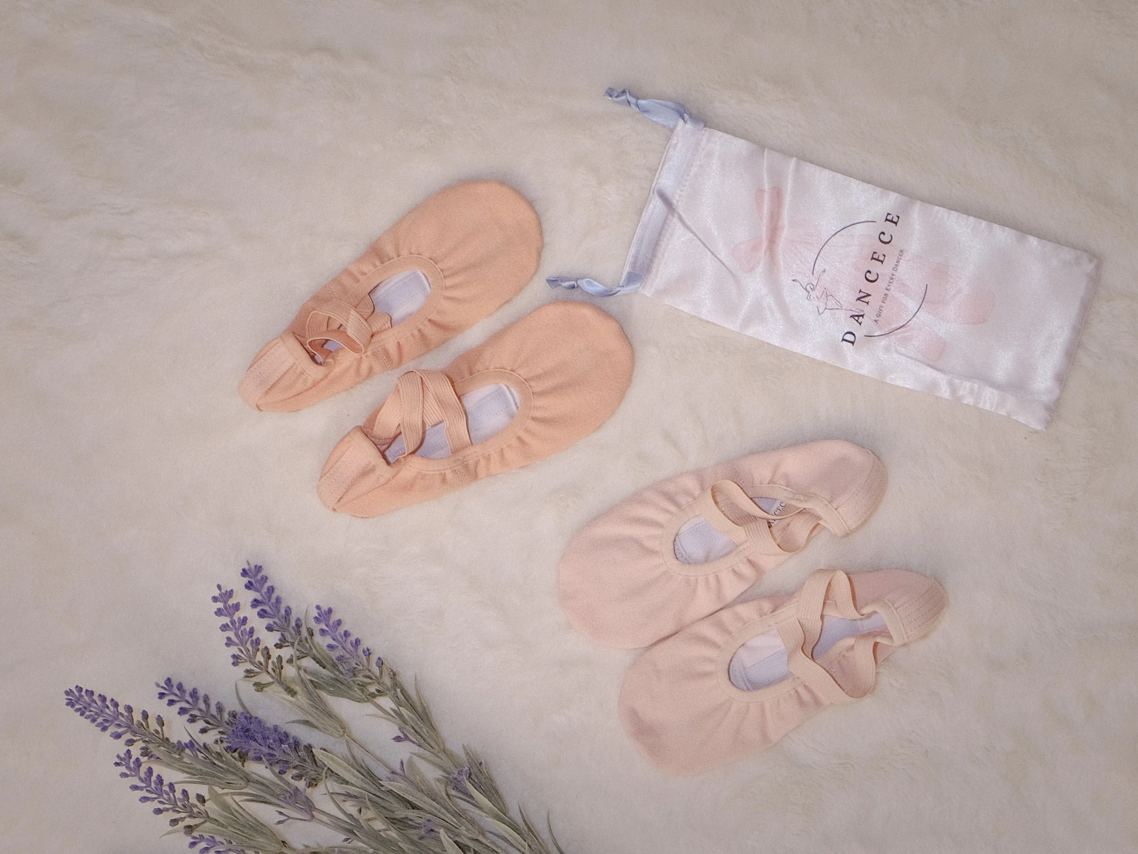 Professional Ballet Shoes