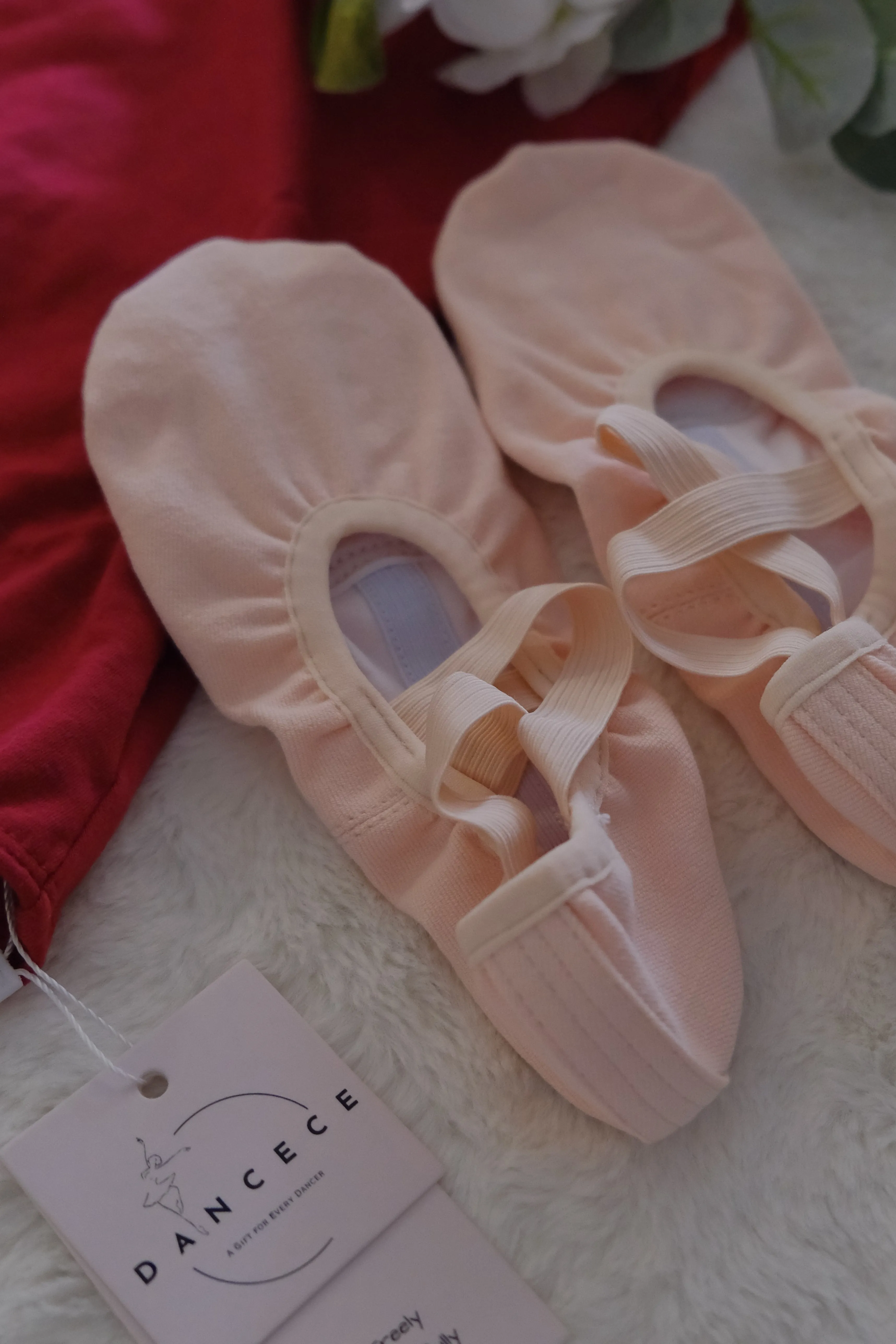 Professional Ballet Shoes