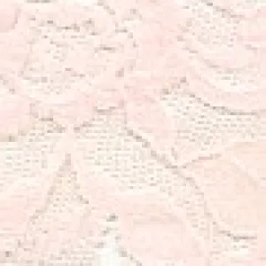 Signature Lace French Brief