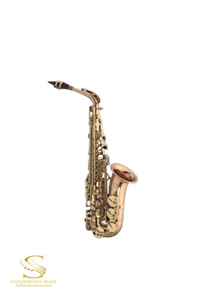 TBS Saxophone  TBA-662Q